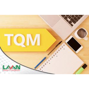 Làm thế nào để áp dụng TQM vào doanh nghiệp một cách hiệu quả nhất?    