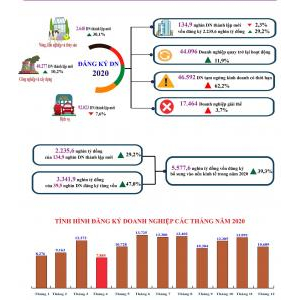 Tình hình đăng ký doanh nghiệp tháng 10 và 10 tháng đầu năm 2021