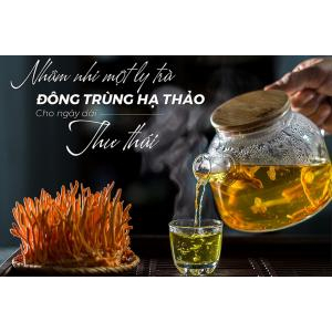 Người gầy uống đông trùng hạ thảo tăng cân không?