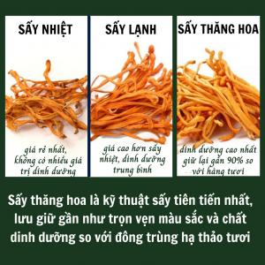 Sấy thăng hoa là gì?