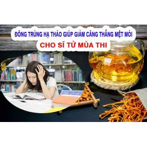 Giải tỏa căng thẳng mệt mỏi