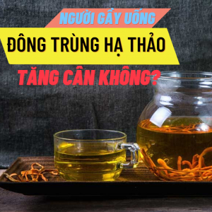 Người gầy uống đông trùng hạ thảo tăng cân không?