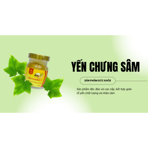 Hỗ trợ tuần hoàn máu, tim mạch và huyết áp