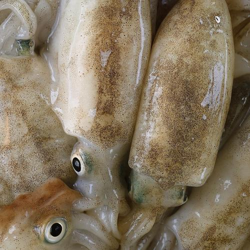 Bước 1: Chuẩn bị nguyên liệu