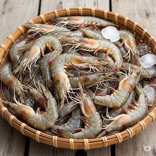 Vết thương hở nên kiêng tôm bao lâu?