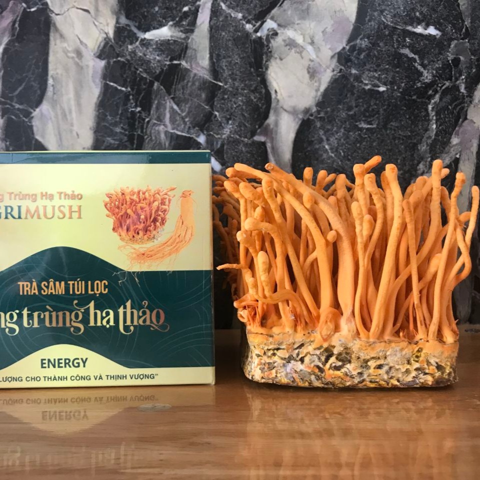 Chống oxy hóa