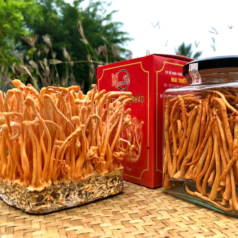Chống oxy hóa