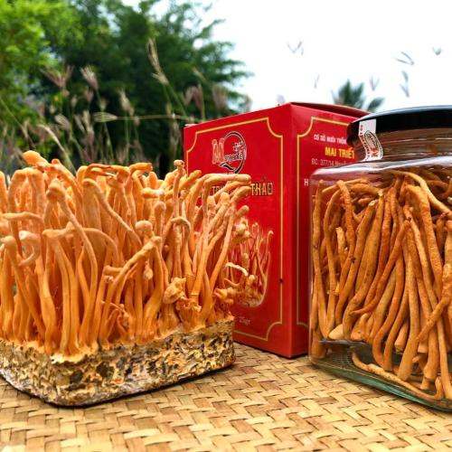 Bổ sung nguồn dưỡng chất