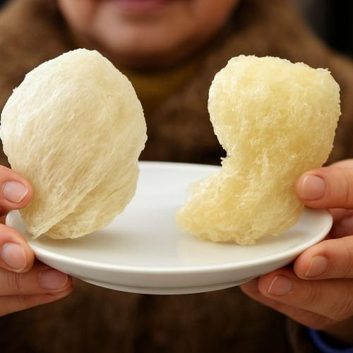 Thử nghiệm yến sào với nước