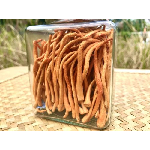 Có thể gây tác động xấu cho người bị bệnh tự miễn