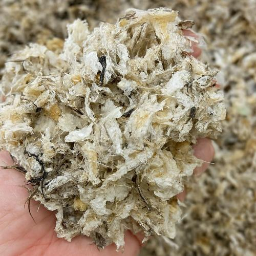 Yến vụn thô giá bao nhiêu?