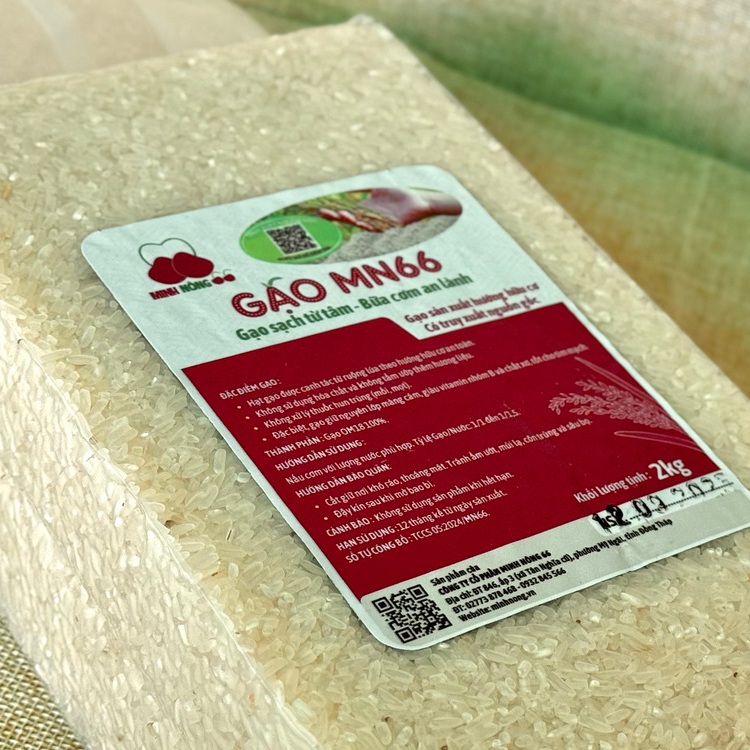 Lợi ích của gạo MN66