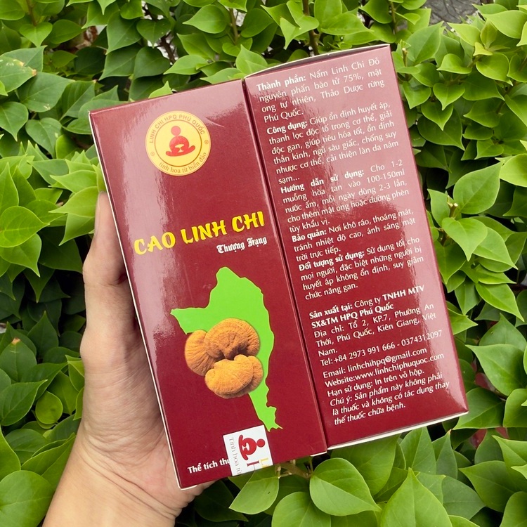 Cao linh chi có tác dụng gì?