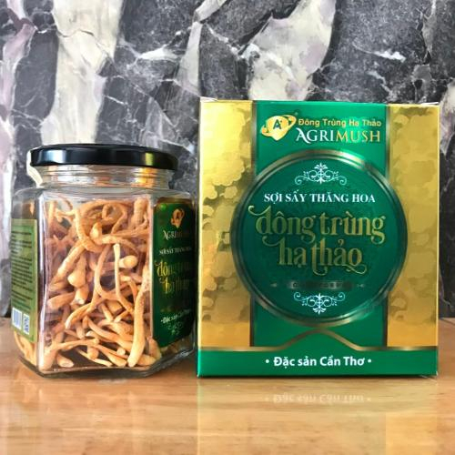 Đông trùng hạ thảo là gì?