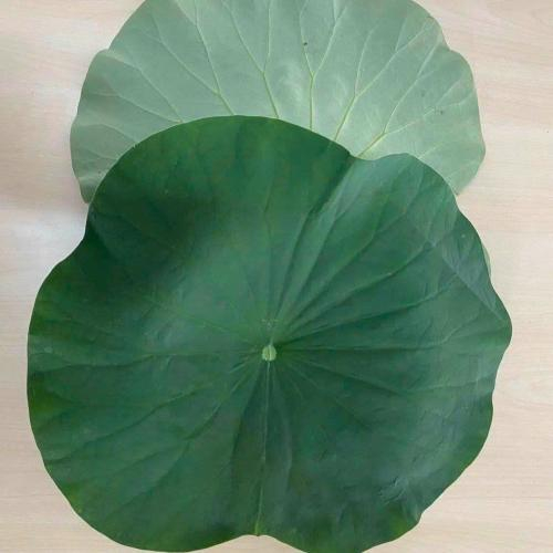 Nguyên liệu tự nhiên