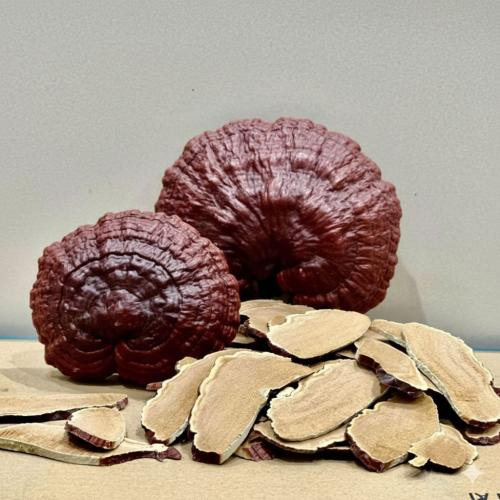 Nấm Linh Chi Nào Tốt Nhất Hiện Nay?