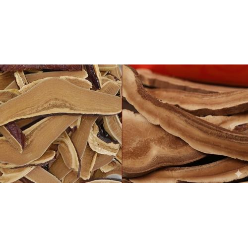 Lát cắt của nấm