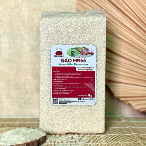 Gạo MN66 có phải gạo lứt không?
