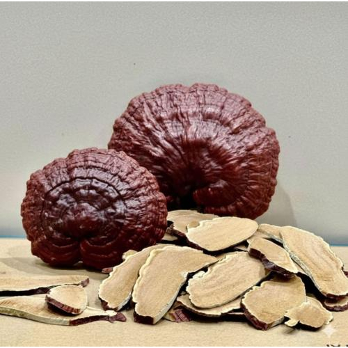 Công dụng của đông trùng hạ thảo khi kết hợp với nấm linh chi