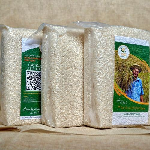 Đừng chỉ tập trung vào cơm