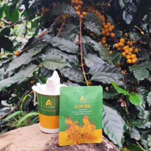 Tăng cường trao đổi chất