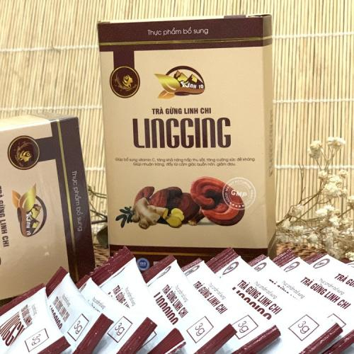 Hỗ trợ tiêu hóa