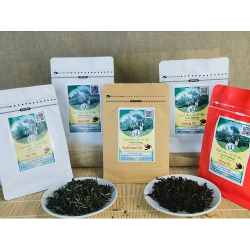 Trà Shan tuyết cổ thụ