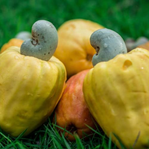 Sự lãng phí không đáng có