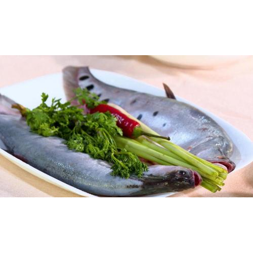 Thịt cá thát lát tươi
