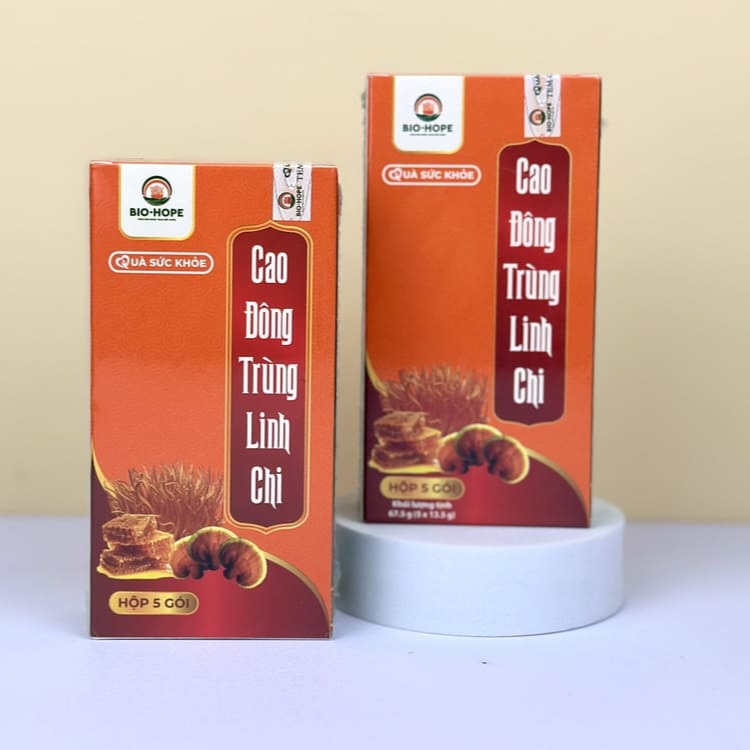 Cao đông trùng linh chi là gì?