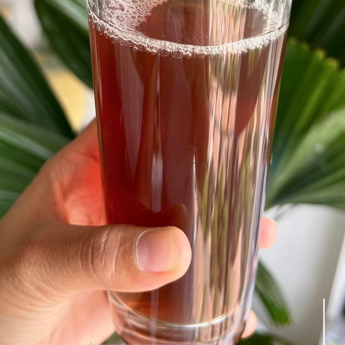 Trà đậu đen Vbean là gì?