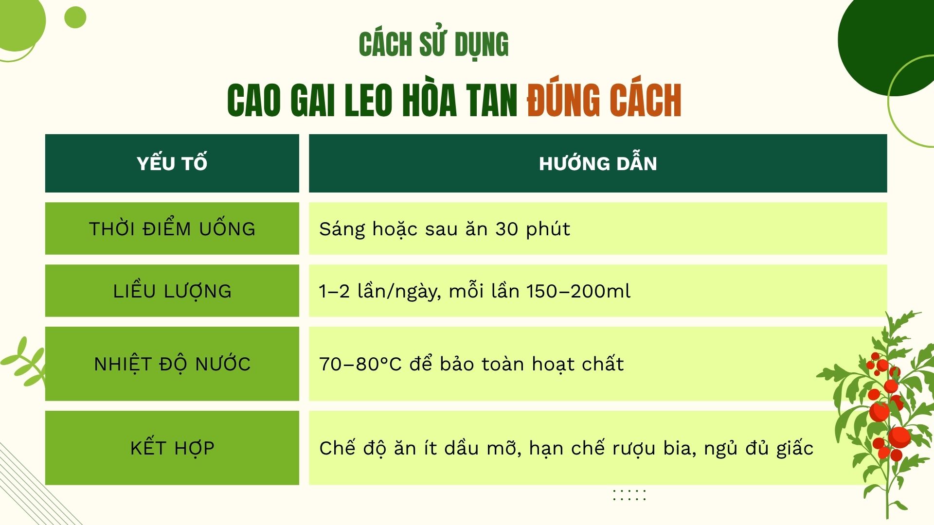 Hướng dẫn sử dụng cà gai leo hòa tan đúng cách