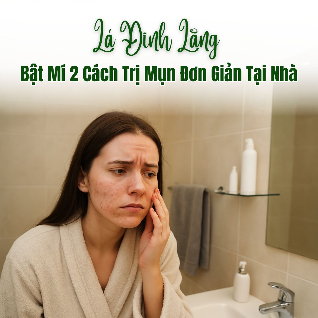 Bật Mí 2 Cách Trị Mụn Bằng Lá Đinh Lăng Đơn Giản Tại Nhà