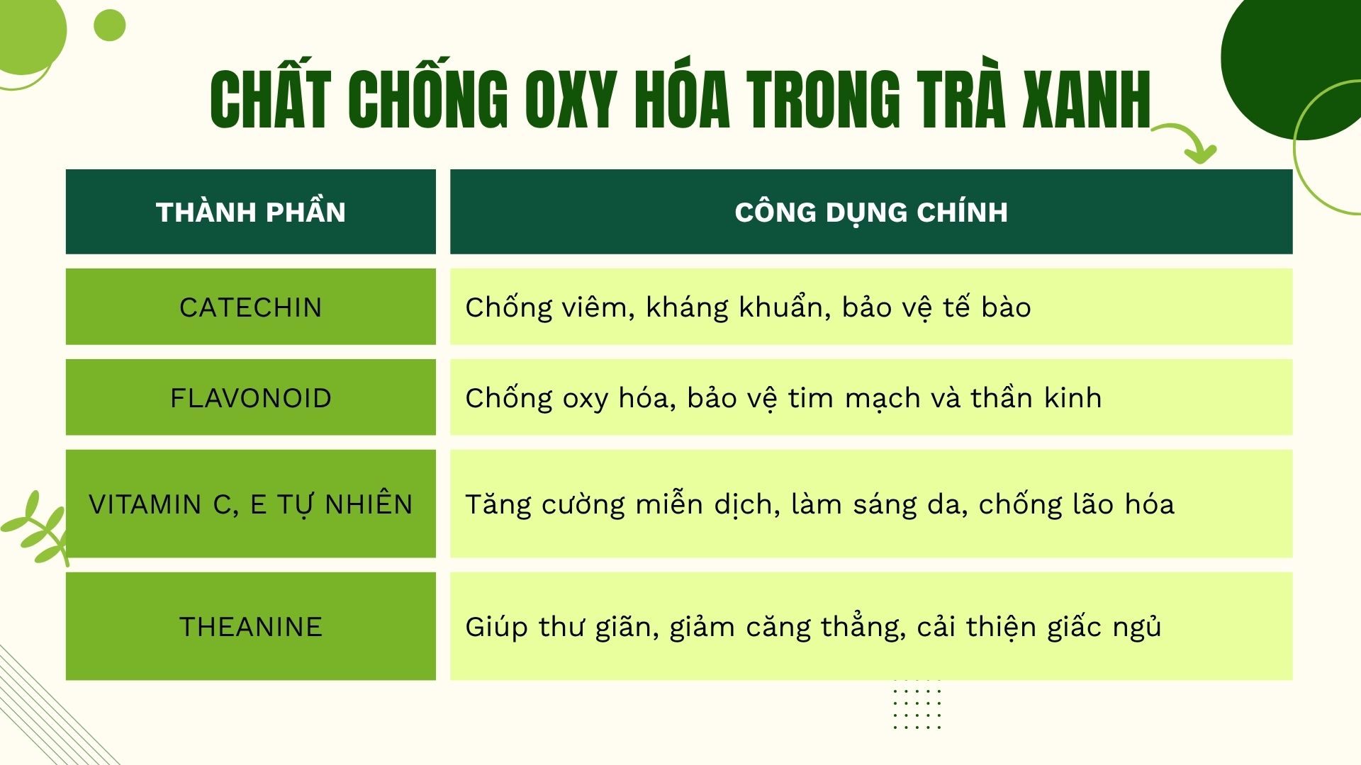Chất chống oxy hóa trong trà xanh – không chỉ là EGCG
