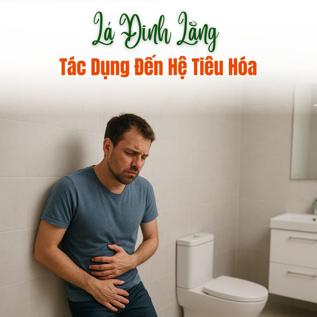 Tác Dụng Của Lá Đinh Lăng Với Hệ Tiêu Hóa: Sự Thật Ít Ai Biết