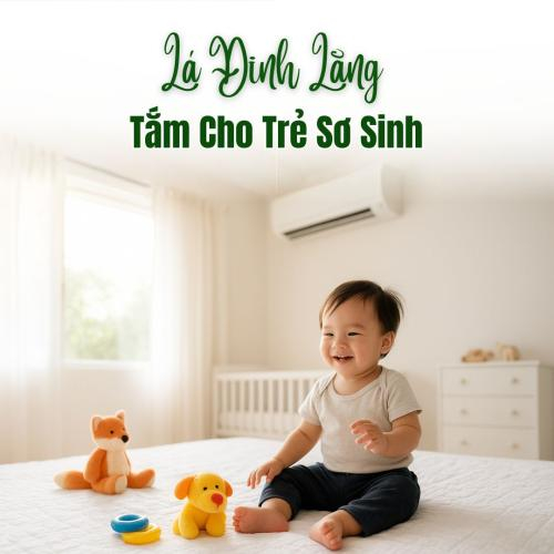 Tắm Lá Đinh Lăng Cho Trẻ Sơ Sinh: "Thần Dược" Từ Thiên Nhiên?