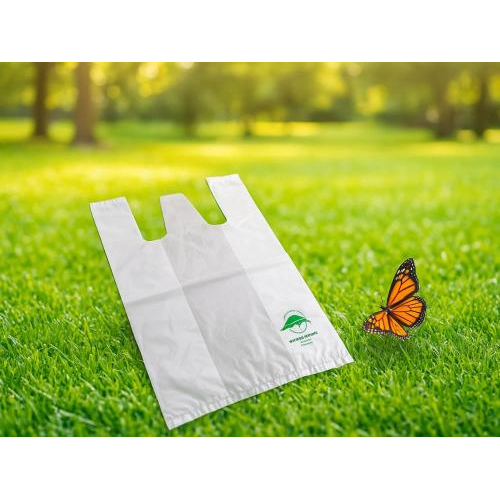 1. Vì sao doanh nghiệp nên chọn túi tự phân hủy