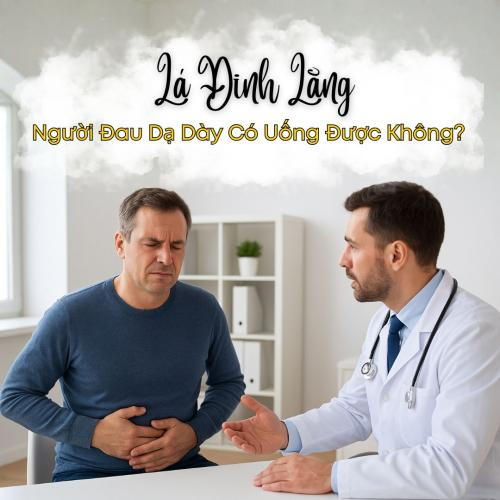 Người Đau Dạ Dày Có Uống Được Lá Đinh Lăng Không?