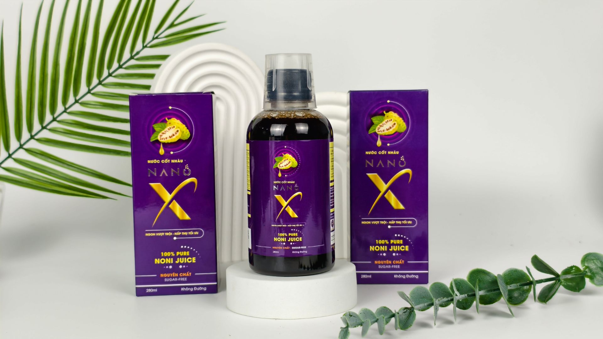 1. Tăng cường hệ miễn dịch và bảo vệ tế bào