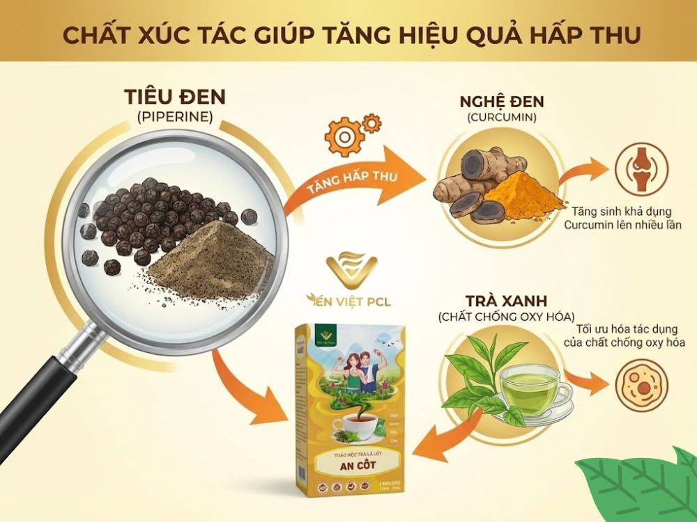 Chất xúc tác giúp tăng hiệu quả hấp thu