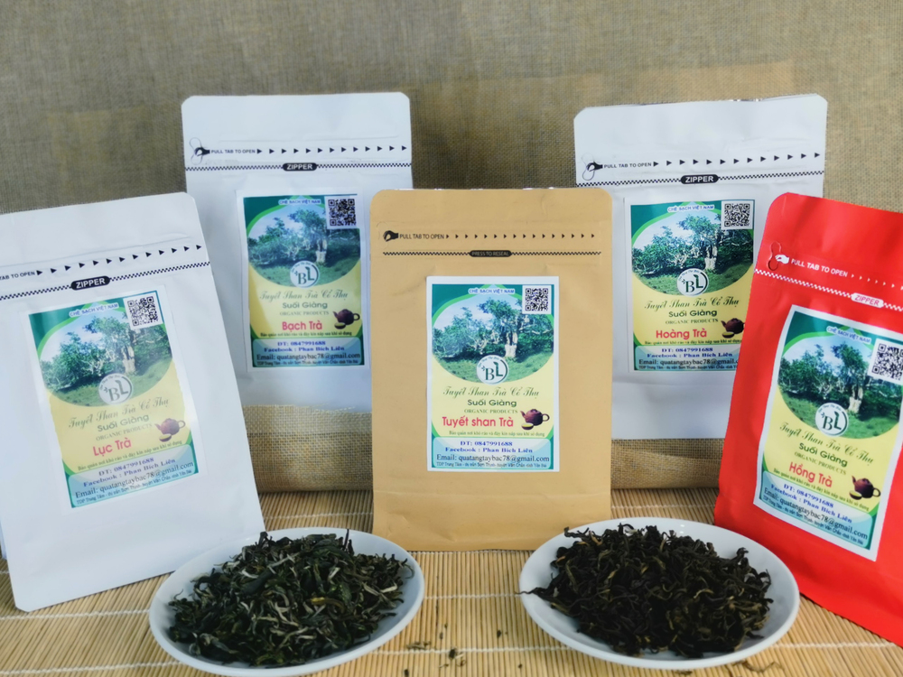 Hỗ trợ não bộ