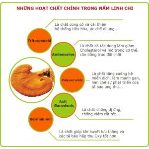 Nấm Linh Chi (Túi 250gr)