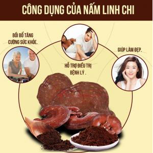 Linh chi hỗ trợ điều trị các bệnh khác