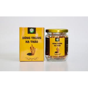 Đông Trùng Hạ Thảo Sấy Khô (Tiêu chuẩn 10 gram)