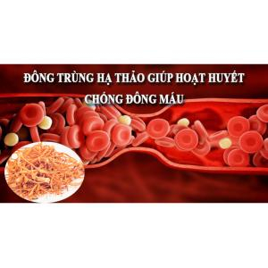 Tác dụng của đông trùng hạ thảo