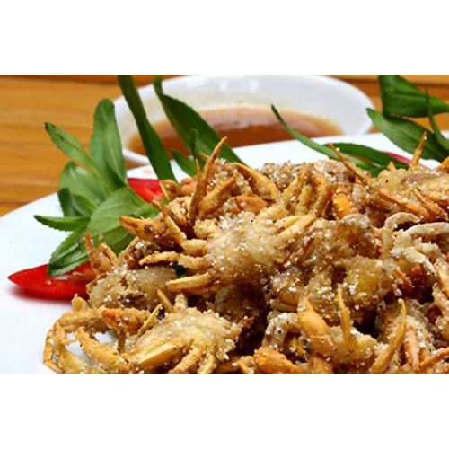 Hải Sản