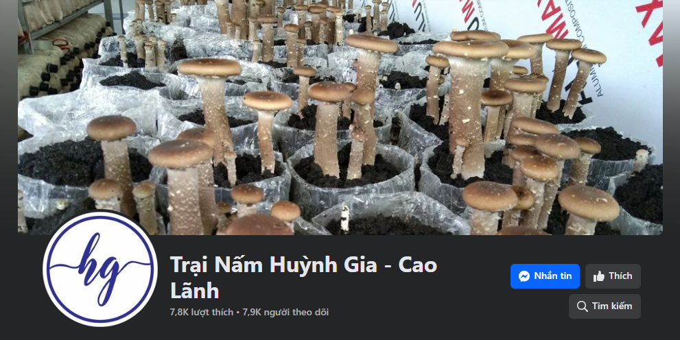 Kênh truyền thông