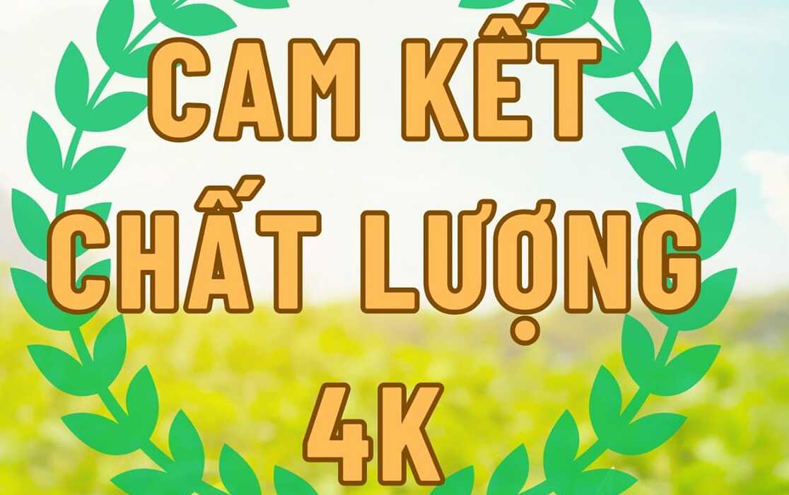 Cam kết chất lượng