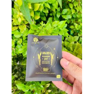 Trà Gói Đông Trùng Hạ Thảo Golden 247 (Hộp 7 Gói)