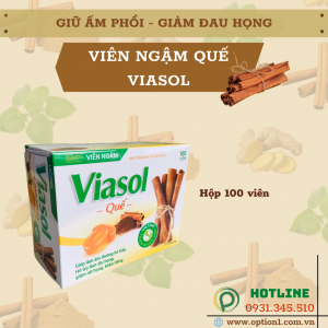 Viên Ngâm Viasol Quế - Hộp 100 viên